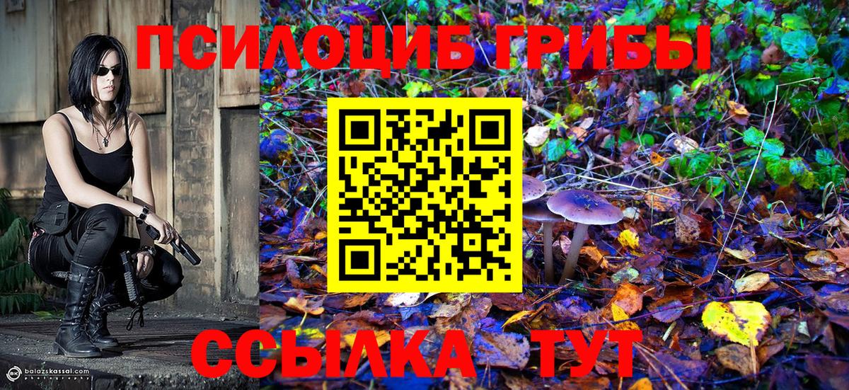 купить наркотики сайты  Галлюциногенные грибы Cubensis  Галлюциногенные грибы прущие грибы  Вход с VPN  Сегежа 