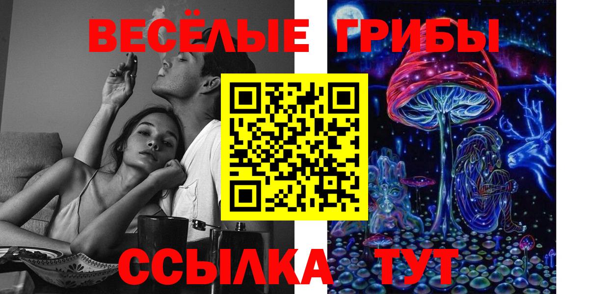 Галлюциногенные грибы ЛСД Сегежа